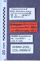 Etiketten zu Zorochros turkmenicus (Dolin & Atamuradov, 1987) (NHMW-ZOO-COL-0006615)